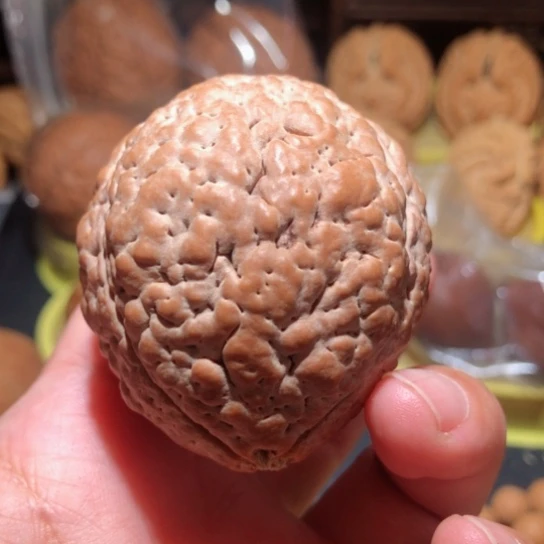 文玩核桃把件单只金刚菩提