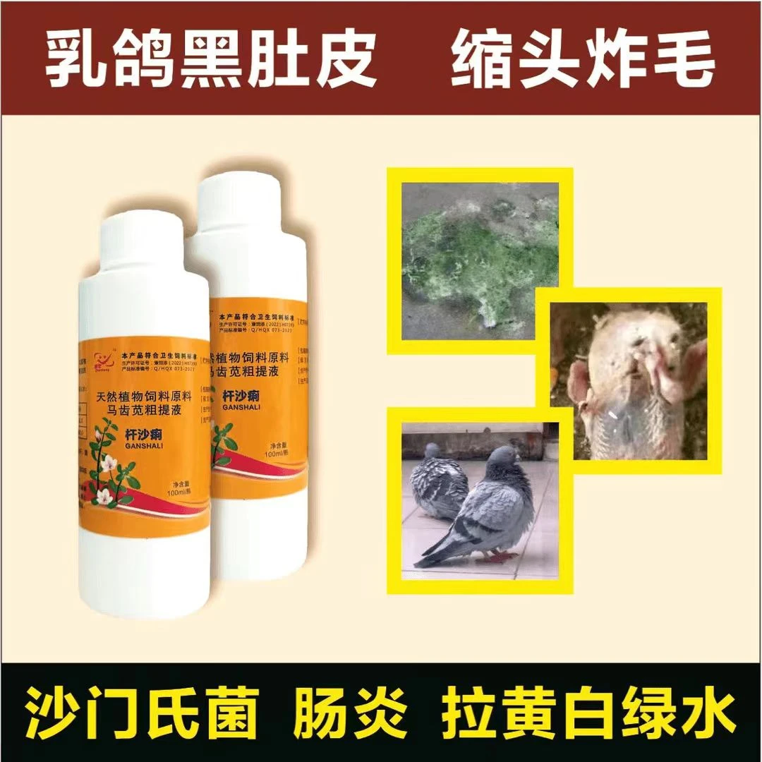 杆沙痢；鸽子护理乳鸽黑肚皮黄白绿稀便缩头炸毛