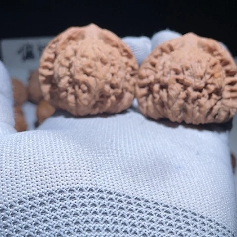 文玩核桃把件龙鼎官帽