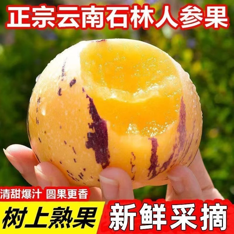 特大10斤5斤云南正宗石林黄心人参果水果批发云南新鲜水果