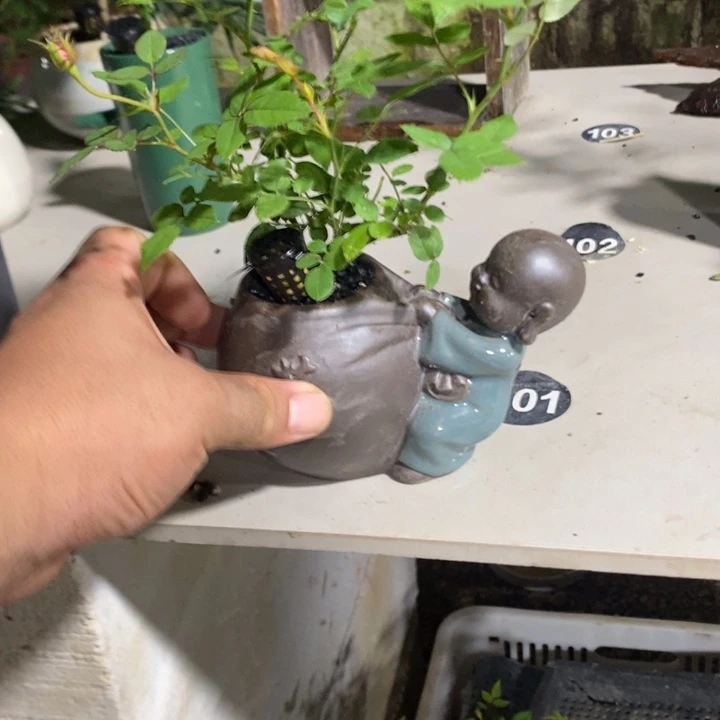 沈***岑完全开放退款拉黑一物一拍407