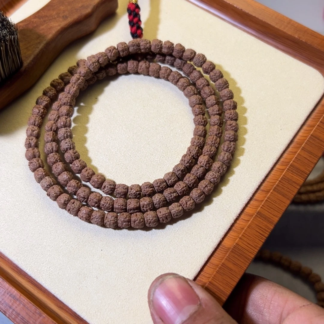 Z**_佛手小金刚五爪龙切