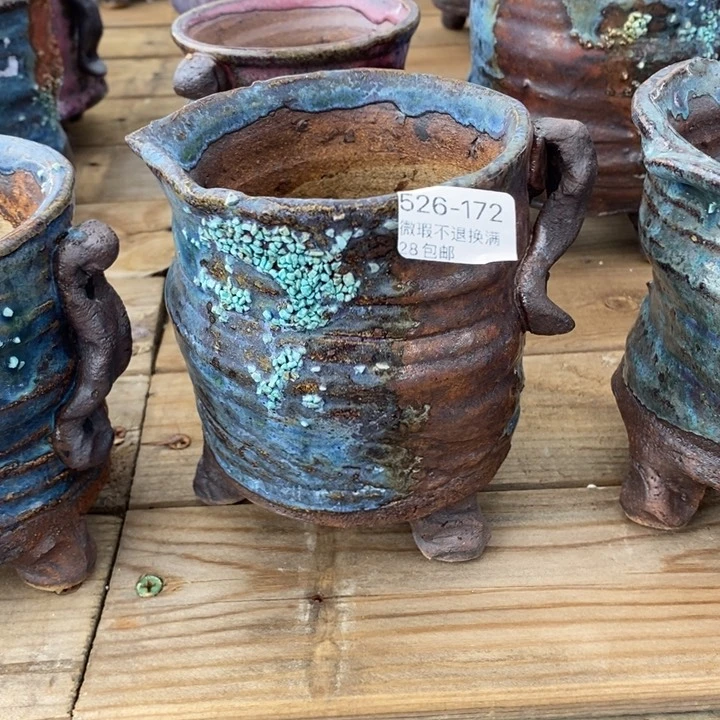 琼**海172号多肉盆口径10