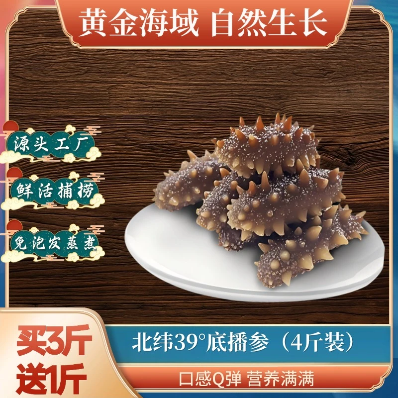 佰海源滋补鲜食独立包装即食海参营养丰富口感鲜美海参正宗辽参