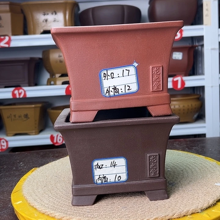 紫砂花盆蛇年大吉