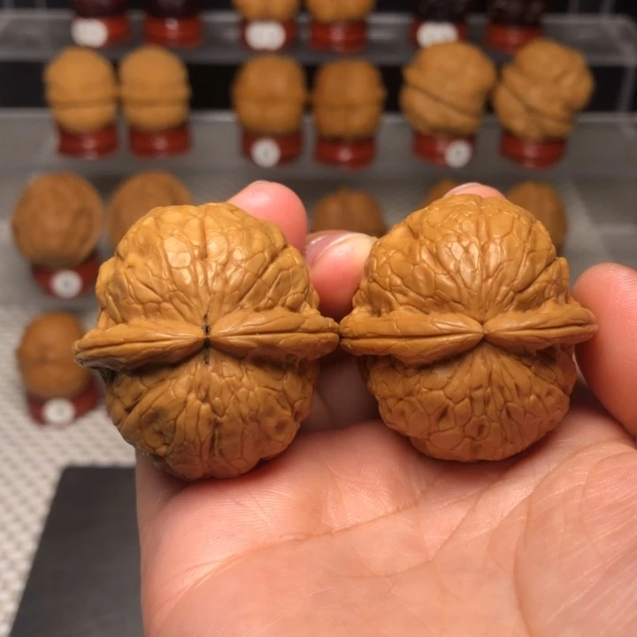 M***生文玩核桃把件209金龟玉甲