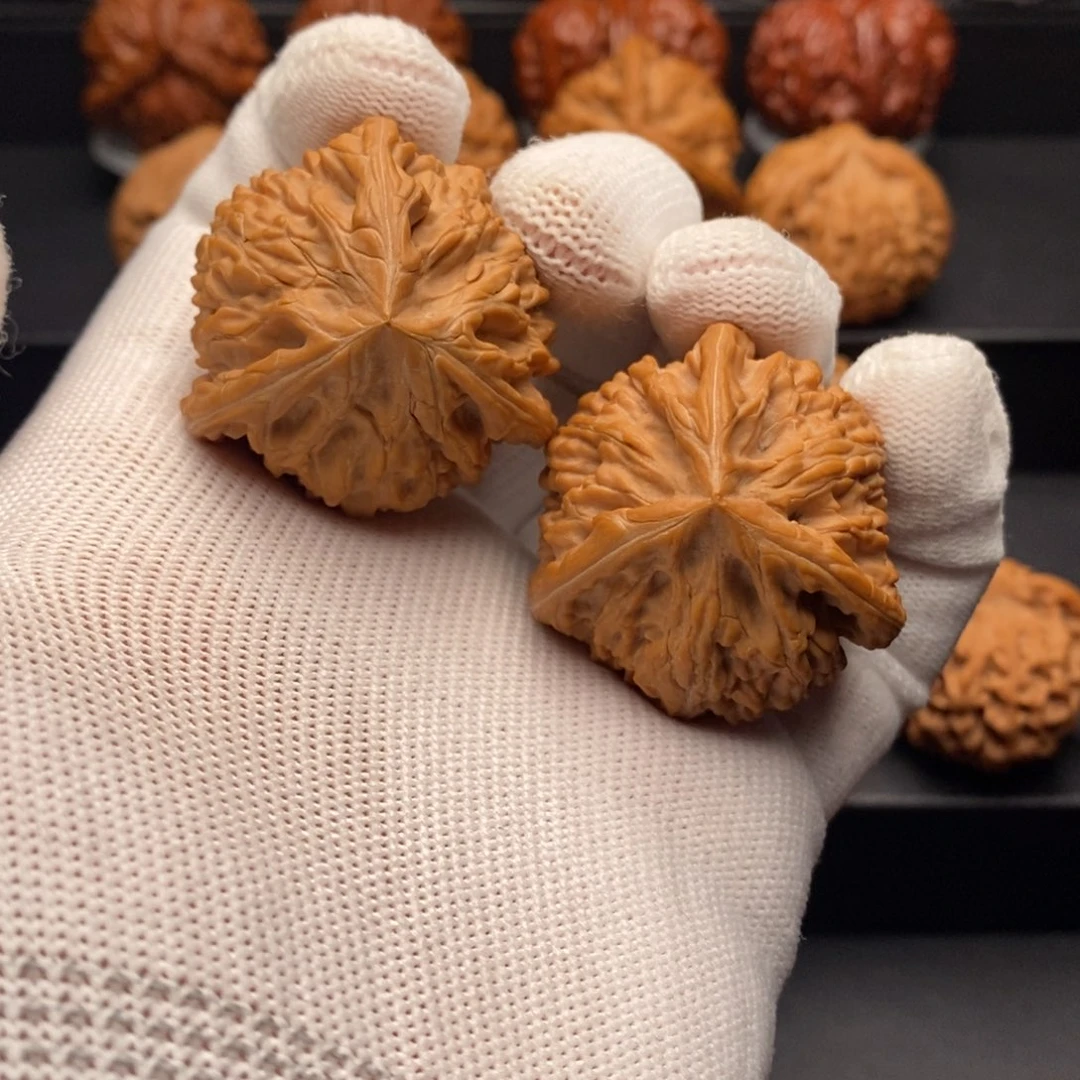 文玩核桃把件39尺全品御龙正奔