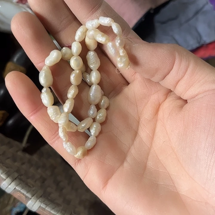 核桃木/黑胡桃（胡桃木）林*发