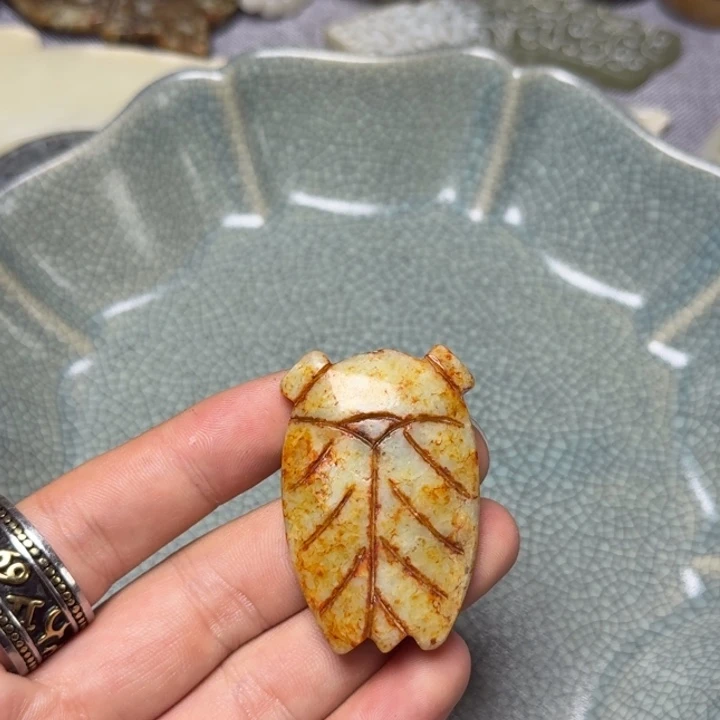 直播放漏专属链接71