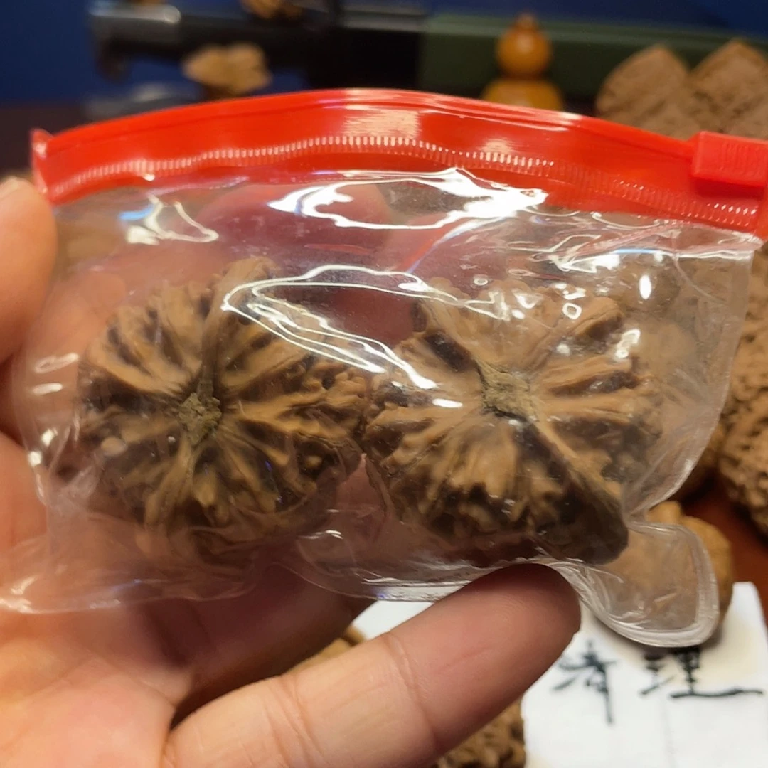 龙脊菩提把件し****?