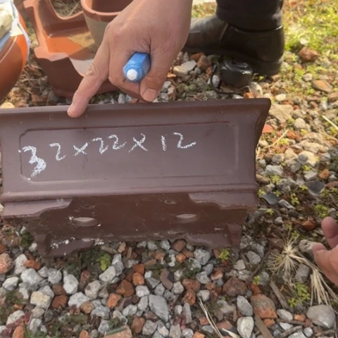 红陶紫砂花盆盆景盆栽