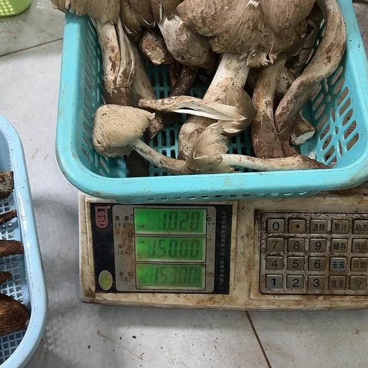 乄***.南华……………………………………中国大陆