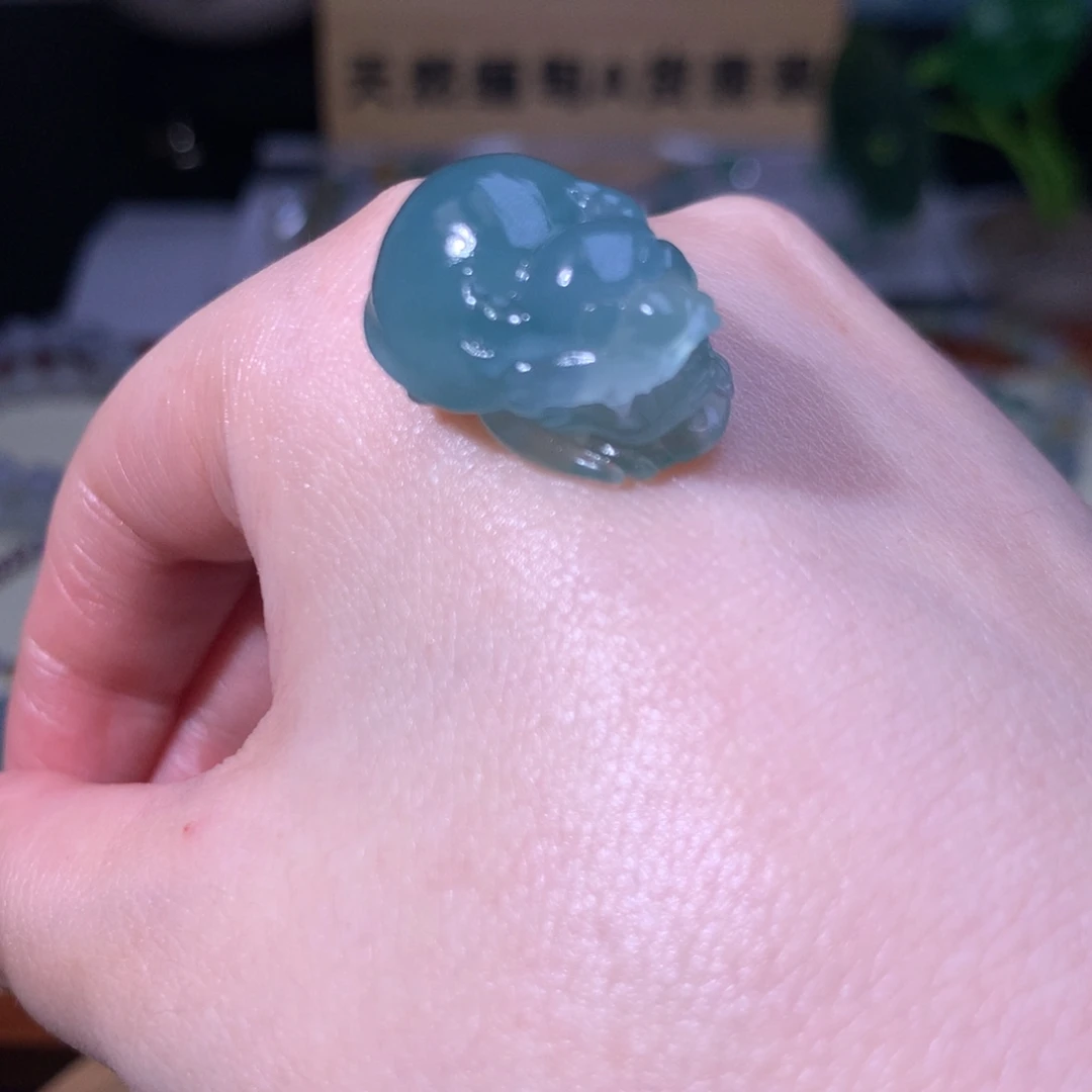 未镶嵌定制翡翠貔貅