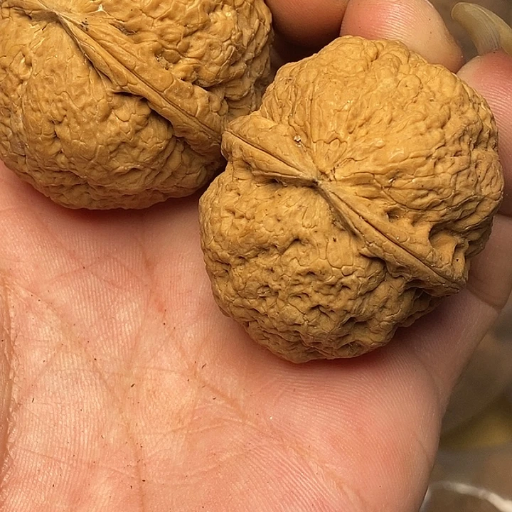 文玩核桃把件云南铁核桃93