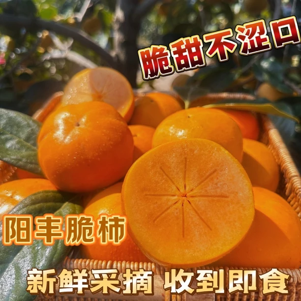 【收到直接吃不涩口】陕西黄金巧克力脆柿子甜柿子阳丰脆柿纯甜无核