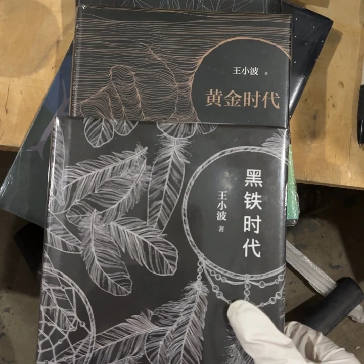王小波三本 闪购闪购30