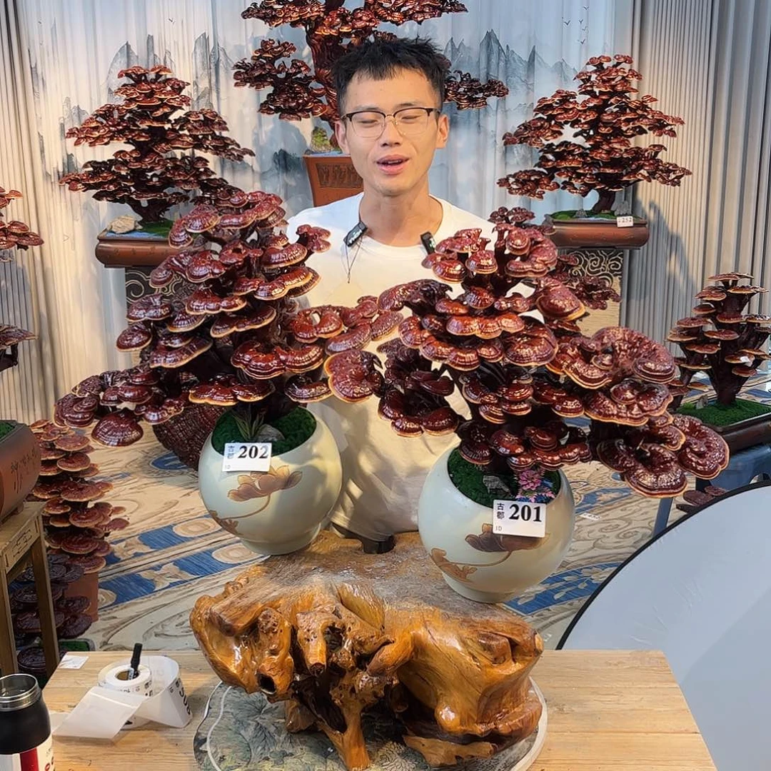 无花朵888888888888888