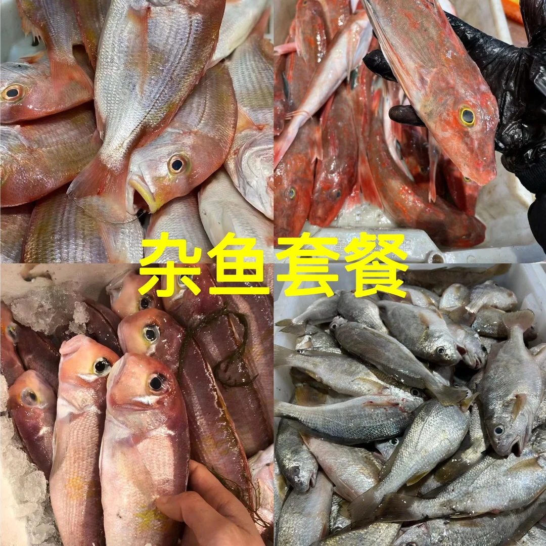 舟山本港杂鱼套餐5斤