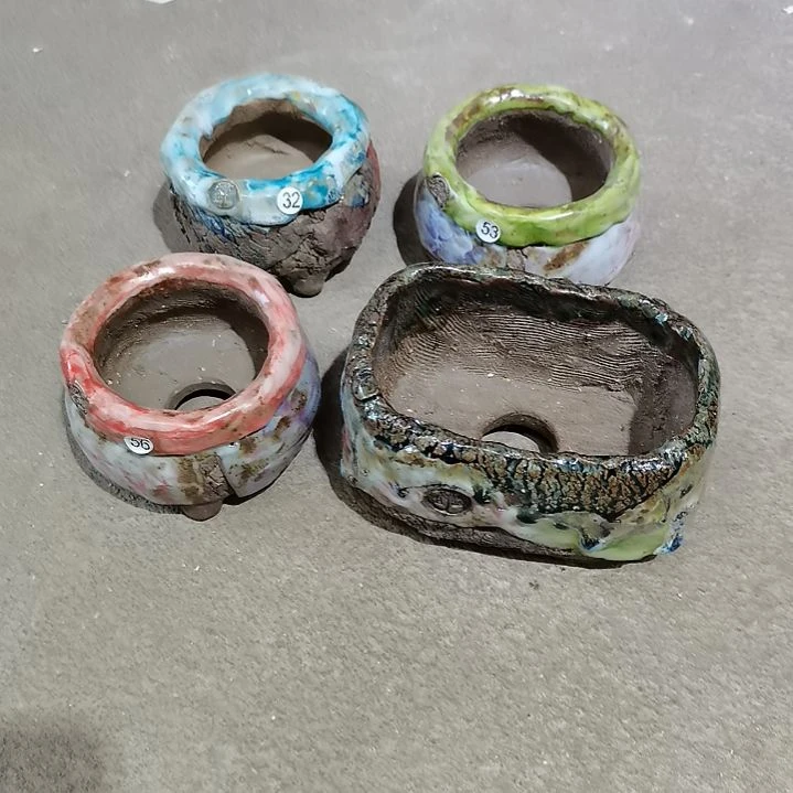 团***奶专拍花盆5588888888