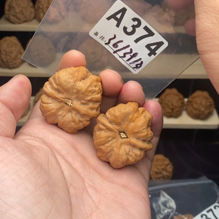 省***灯核桃A374蛤蟆头36