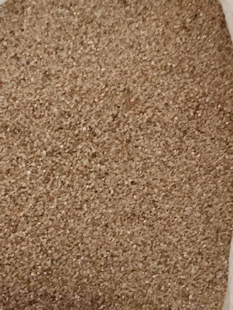 中华沙蟹大眼萌专用天然海沙