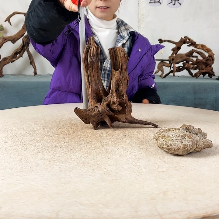 新年快乐沉木造景