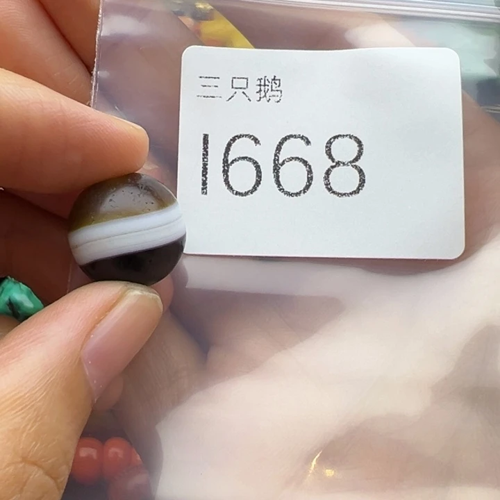 吊坠菩提根/象牙果