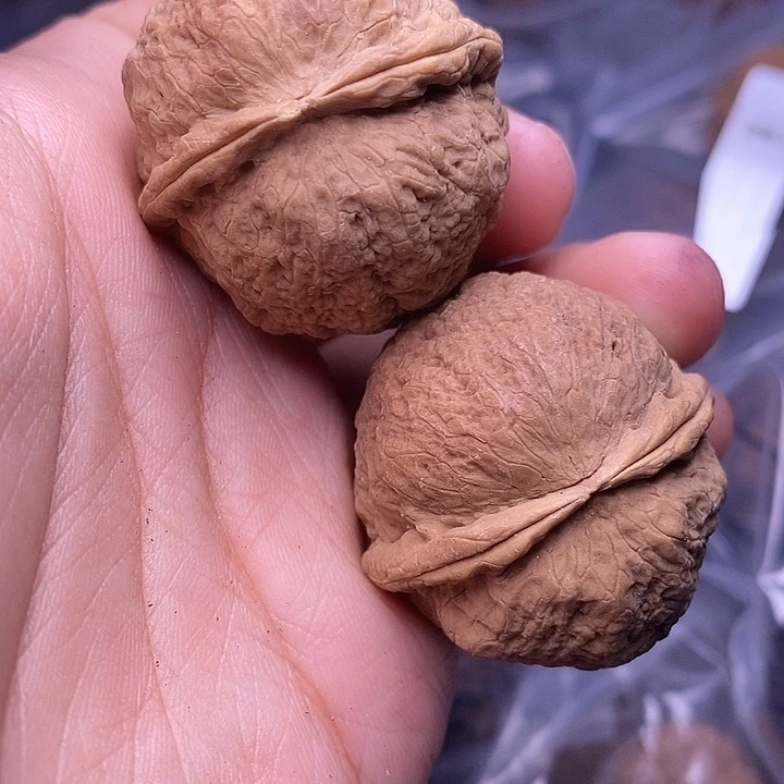 把件文玩核桃 129