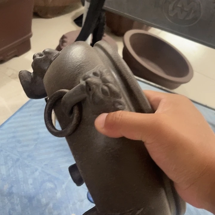 石***森紫砂花盆这个是什么神仙
