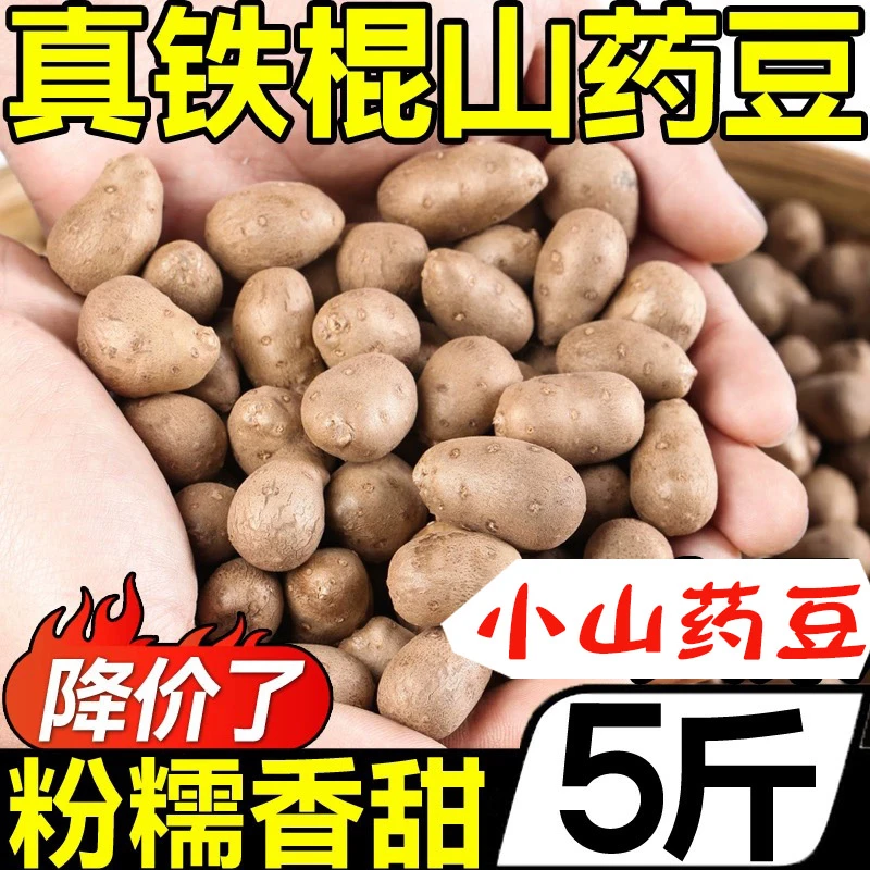 垆土铁棍小山药豆5斤装农家自产自销软糯好吃批发