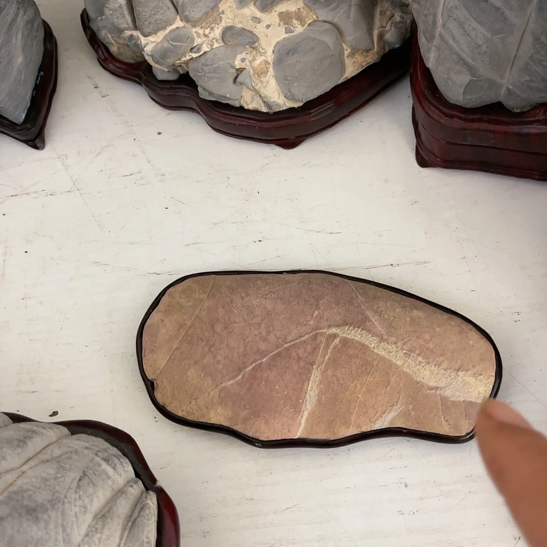 紫砂你在干嘛呀擦的万*