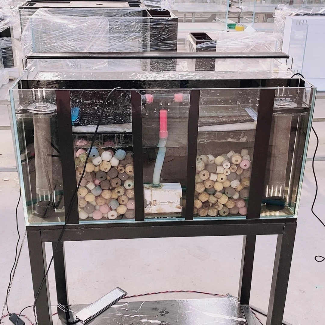 1004040背滤双进双出冬****火