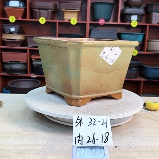 红陶茗**府紫砂花盆里放的