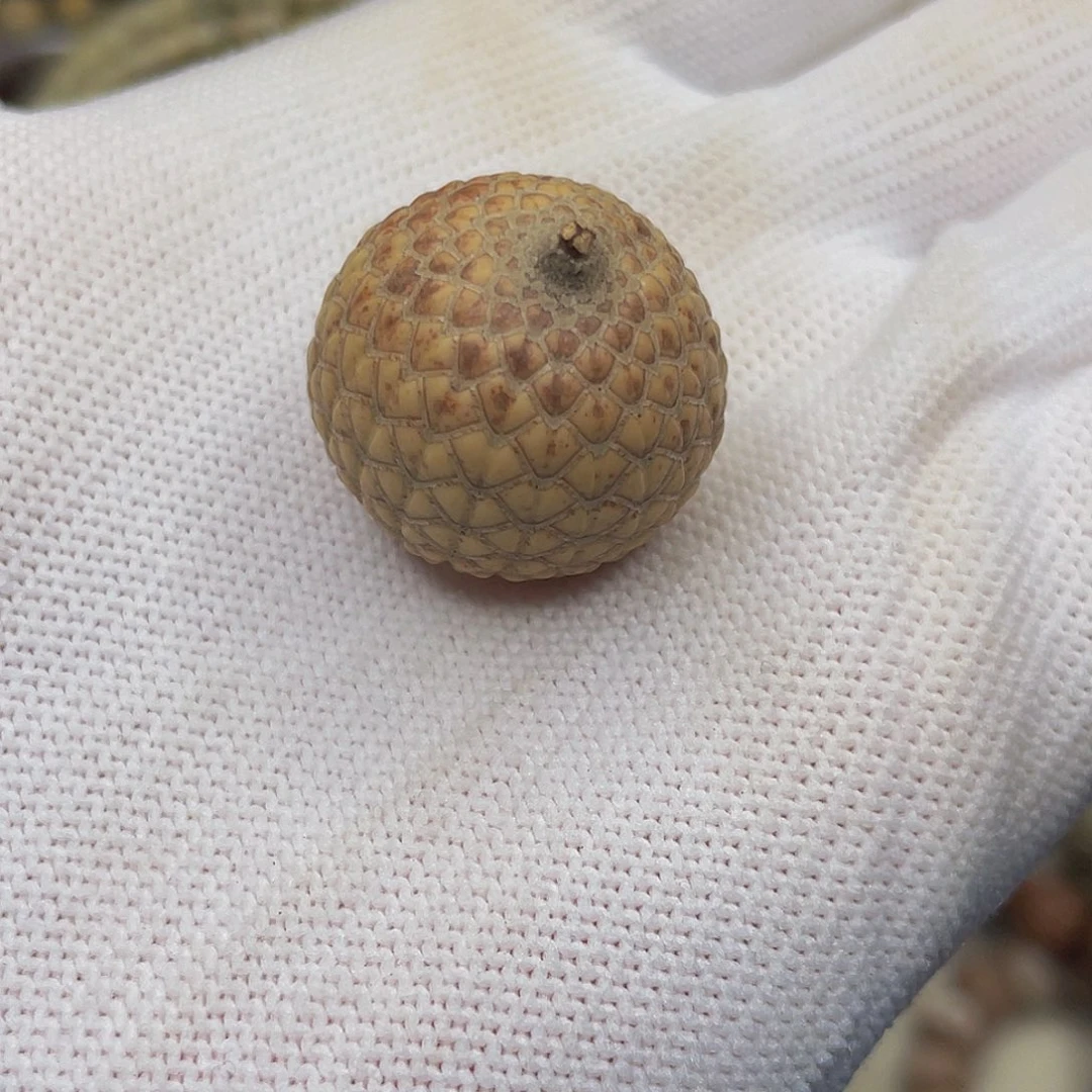 星月菩提吊坠压车链接（勿拍）