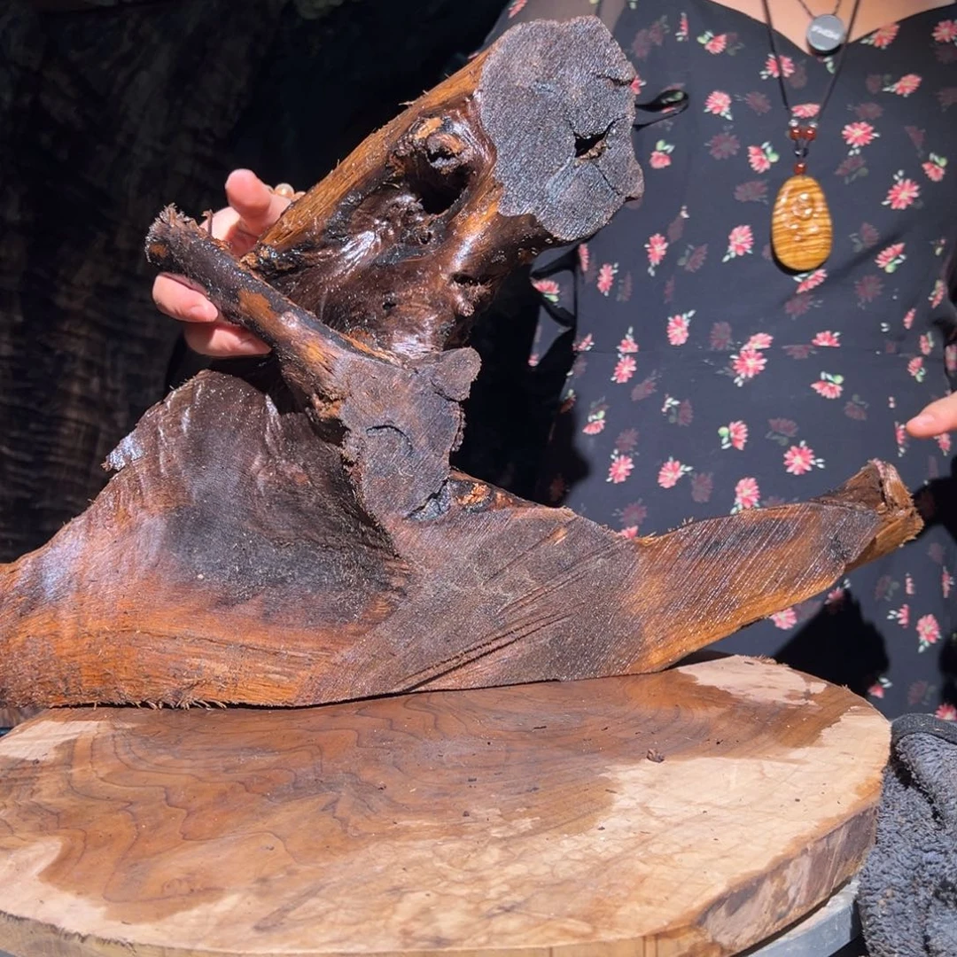 金丝楠禾*222222222222