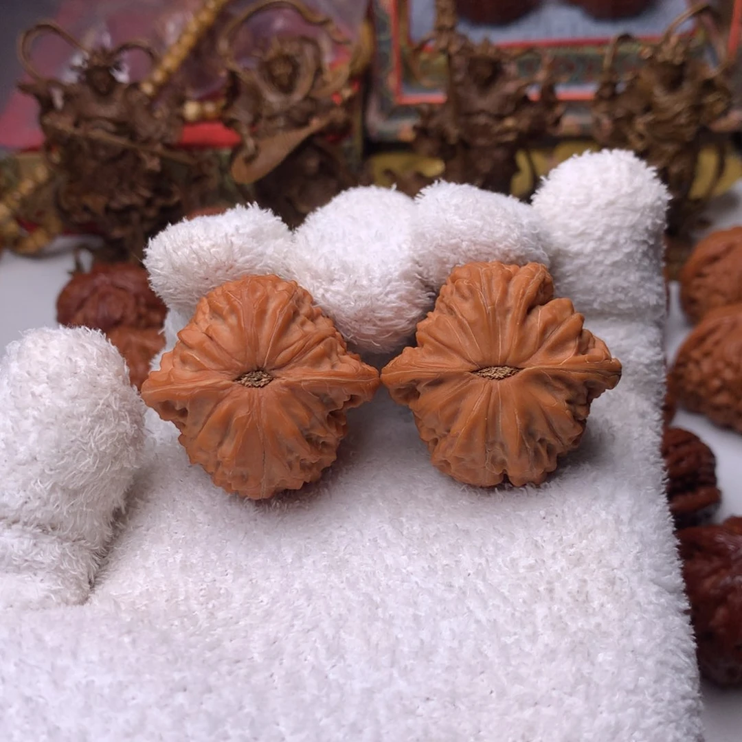 常***伴文玩核桃把件37尺全品磨盘狮子头