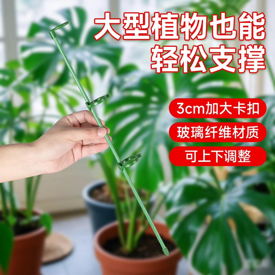 植物爬藤架固定防倒伏花架子园艺支撑室内外花园月季爬藤绣球撑花