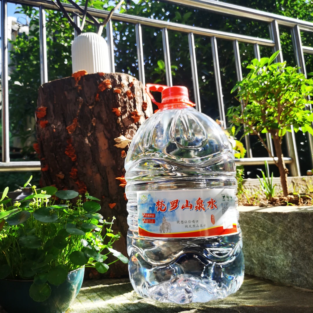 【免费配送】2桶 一次性桶装水 天然泉水 15L 梵罗山泉水