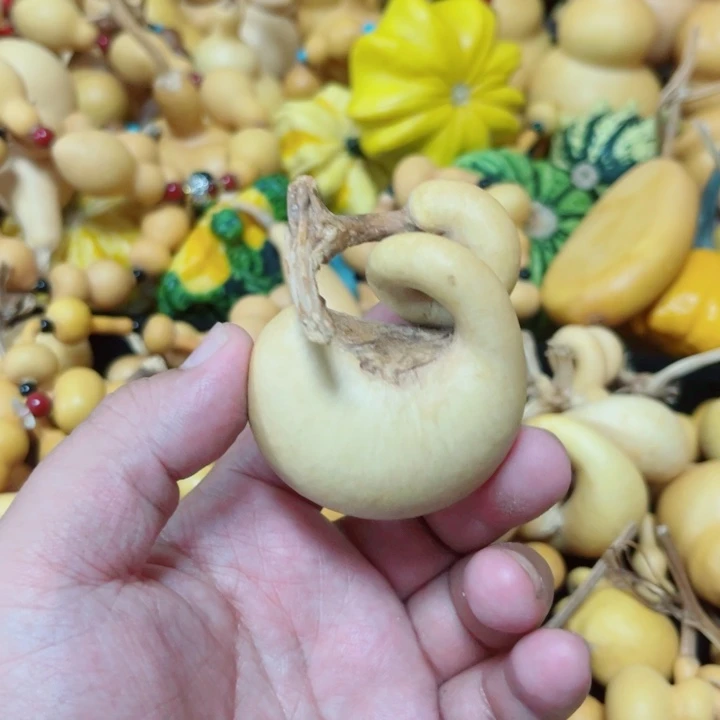 坦*蜗牛腰杆 蜗牛腰