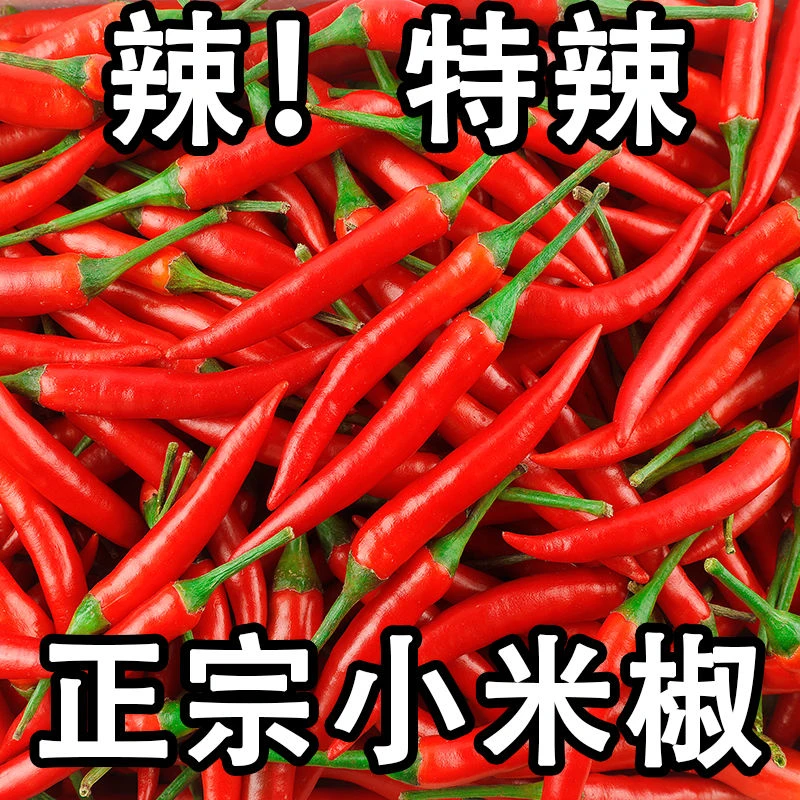 新鲜采摘特辣小米椒红辣椒朝天椒批发手工挑选农家自种小米椒商用