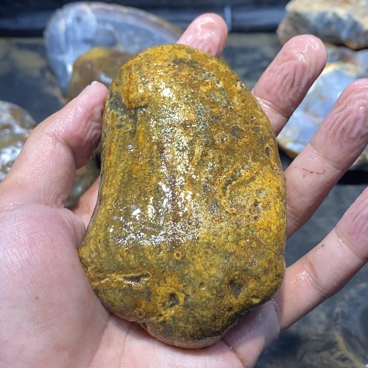 未镶嵌车挂玛瑙/玉髓