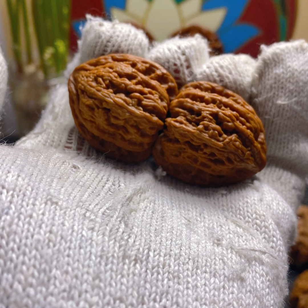 核桃密纹边33肚33三角桩