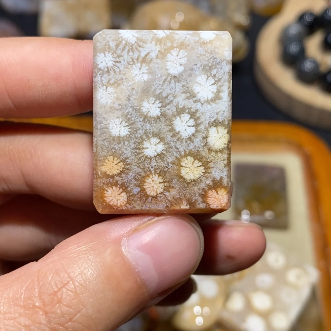 【闪购商品】硅化玉珊瑚玉未镶嵌
