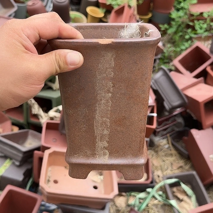 这就是所谓一群小鲜衣啊喂