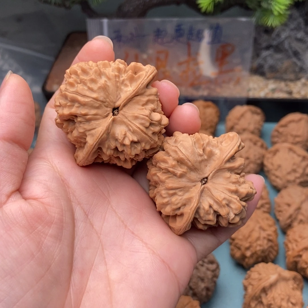 墨***_文玩核桃把件官帽7