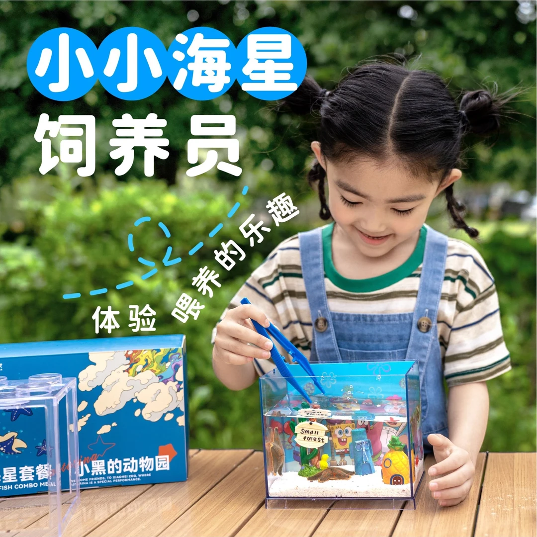 【海星套餐】桌面鱼缸家用鱼缸海洋海燕迷懒人宠物好养