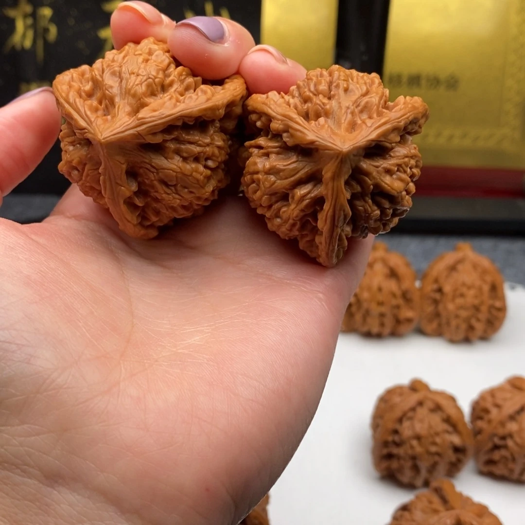 深*白狮子1111111