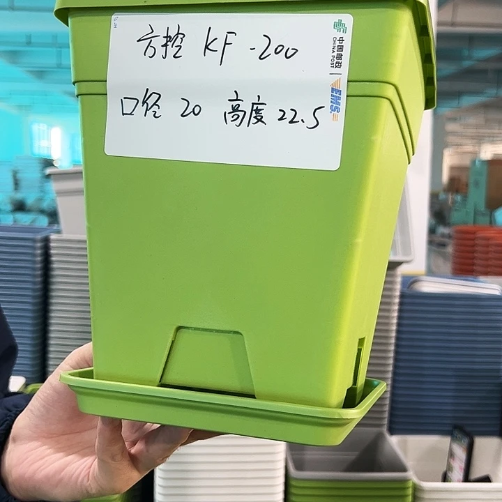 正品方盆口20高22果绿带托6只