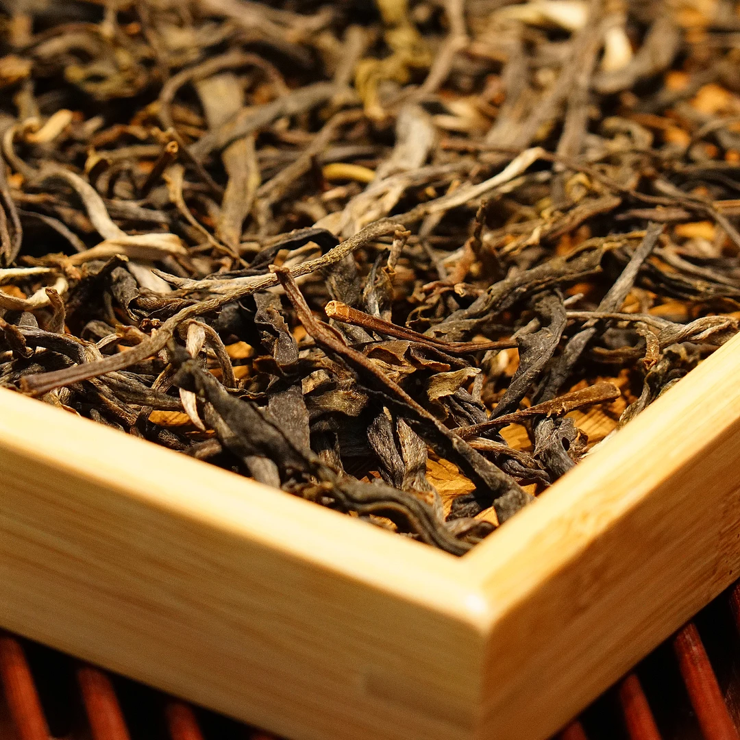 2021年  懂过 大单株 头春头采 春茶 普洱生茶