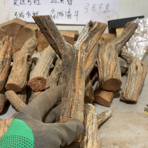 大果紫檀（缅甸花梨）尛*斗